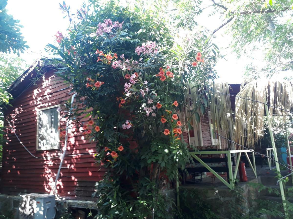 Side Tuana Garden Home 外观 照片